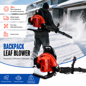 Oferta Destacada: Soplador de Nieve y Hojas de Mochila a Gasolina de 63.3cc con Filtro de Aire Lateral, Soplador de Aire para Jardín, 2 Tiempos, Precio de Fábrica CE - Product Image 1