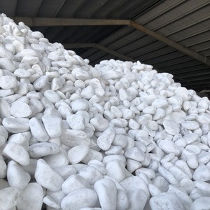 Piedra natural de alta calidad, adoquines blancos como la nieve suministrados por Vietnam para aplicaciones de parques de acuarios al aire libre y jardines paisajísticos - Product Image 2