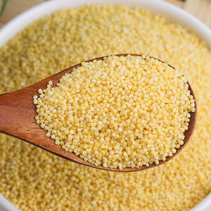 Millet jaune biologique décortiqué du Jilin, de haute qualité, non OGM, vente en gros en provenance de Chine - Product Image 5