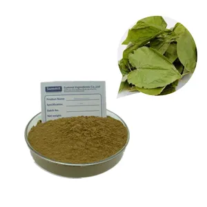 Wholesale Factory Supply Bulk Pure Icariin 20% Epimedium Extract Powder