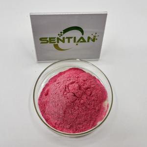 Polvo de jugo de fruta de fresa Natural de alta calidad polvo de extracto de fresa Liofilizado - Product Image 3