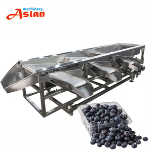 ماكينة تصنيف عنبية زرقاء 2 + 1 ، ماكينة تصنيف حزام عنبية زرقاء ، ماكينة تصنيف عنبية زرقاء - Product Image 1