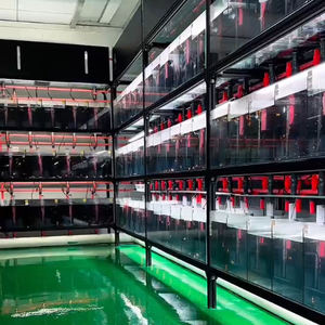 Vente en gros d'aquarium, moyen et petit aquarium en verre ultra blanc, aquarium pour l'aménagement paysager, aquarium pour l'aquaculture - Product Image 2