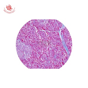 Microscopio deslizante con sistema para el cuidado de la piel, Set de 15 artículos para el cuidado de la piel - Product Image 3