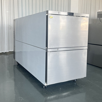 Réfrigérateur mortuaire de style européen, équipement funéraire, congélateur de morgue à 2 portes avec refroidissement sans givre, écologique et durable