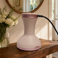 Sèche-cheveux lisseur professionnel ionique DC 900W, idéal pour hôtel, maison et extérieur, tout-en-un