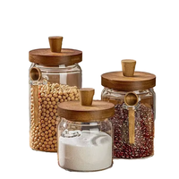 Bocaux cylindriques en verre borosilicate avec couvercles en bois, poignées et cuillères – Contenants hermétiques pour sel et sucre de cuisine