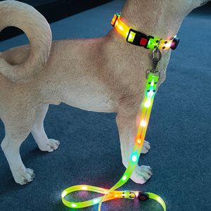 <span class=keywords><strong>2026</strong></span>년형 USB 충전식 <span class=keywords><strong>LED</strong></span> 개 목걸이, 솔리드 패턴 나일론 소재, 리본 장식으로 색상 변경 가능 - Product Image 4