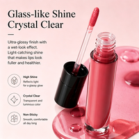 Gloss à lèvres brillant effet miroir OEM 6 couleurs, hydratant, non collant, longue tenue, gloss liquide, logo personnalisé