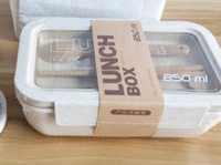 Biodégradable Bento Rice Husk Eco Lunch Bag Soupe Cup Lunch Box Avec Couverts