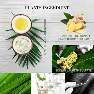 Marque privée Ensemble de shampoing pour le soin des cheveux à l'huile de noix de <span class=keywords><strong>coco</strong></span> soyeuse Logo personnalisé Shampooing et après-shampoing hydratant et réparateur en vrac - Product Image 3