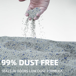 RTS <span class=keywords><strong>Bentonite</strong></span> biodegradabile lettiera per gatti a basso contenuto di tracciamento deodorante ad aggruppamento rapido a basso tenore di carbonio per gatti - Product Image 4