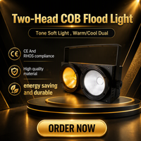 Projecteurs de scène LED COB 2x100W à double faisceau avec RGBW DMX512/Contrôle Sonore Ra90 Température de couleur 6000K/5000K Dimmable IP33 Éclairage DJ/Club