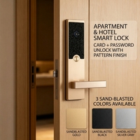 Serrure d'accès commerciale haute sécurité à panneau incurvé à induction, design grain de soie, finition sablée, compatible TT Lock, pour appartement