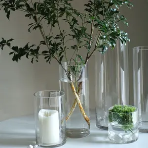 Yapay toptan geri dönüşümlü ucuz akrilik dekorasyon bitki Fleur lüks Centerpiece cam vazo ev dekor için Modern