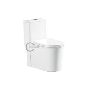 Toilette monobloc tendance - Aménagement de salle de bain moderne - Product Image 2