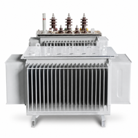 Transformador de Distribución Trifásico Sumergido en Aceite Nachuan S9-35KV/S10-35KV 100kVA-2500kVA de Alta Eficiencia con Material de Cobre