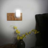 Veilleuse LED murale compacte à détection automatique crépuscule-aube pour chambre à coucher, moderne, certifiée ETL CE ROHS, directement de l'usine Fuzhou Guanzhou