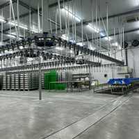 Ligne de traitement de volailles en acier inoxydable de qualité alimentaire, équipement entièrement automatique pour l'abattage de poulets, canards et oies