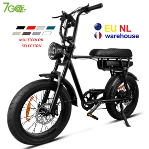 EB4 EB2 20inch fat tire ELECTRIC BICYCLES off road electric mountain bicycle 1000W 750W motor electric bike bicycle eu warehouse