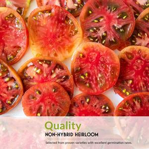 Ensemble <span class=keywords><strong>de</strong></span> 5 variétés <span class=keywords><strong>de</strong></span> graines <span class=keywords><strong>de</strong></span> tomates anciennes colorées, non-OGM, pour pot suspendu au sol, incluant Black Krim et Great White Aunt - Product Image 5