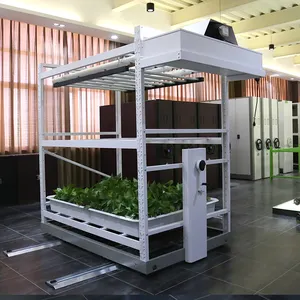 L'agricoltura agricola coltiva il sistema di coltivazione idroponica verticale dello scaffale