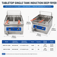 Friteuse à induction de comptoir à économie d'énergie, friteuse électrique à huile, contrôle précis de la température, acier inoxydable 304, capacité 18L