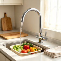Robinet d'eau potable en acier inoxydable chromé, mitigeur de cuisine 4-en-1 pour eau pétillante, robinet 4 voies
