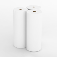 Vente en gros à prix avantageux, directement de l'usine : Feuilles de bande en plastique PP pour fumier de volaille, personnalisables, fabricant d'origine