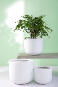 <span class=keywords><strong>Maceta</strong></span> ecológica personalizada o estándar, al aire libre para jardín, venta al por mayor, China - Product Image 3