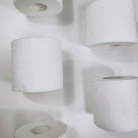 Papier toilette en bambou en gros, rouleaux 2/3 plis, en pâte de bois vierge, écologique, personnalisable, fabricant économique
