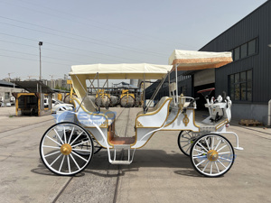 Carruaje de Caballos Clásico de Princesa Cenicienta 2025, Vehículo Eléctrico Turístico en Venta - Product Image 2