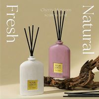 Ensemble diffuseur de parfum à bâtonnets pour cadeau, diffuseur d'huiles essentielles d'aromathérapie avec bâtonnets en rotin naturel pour Noël, vente en gros