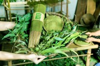 Encens d'aromathérapie de haute qualité 100% naturel et écologique, fabriqué à partir de feuilles d'eucalyptus, vente en gros, services OEM/ODM disponibles