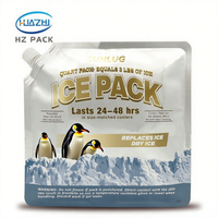 Sac isotherme Doypack personnalisé en PE avec bec verseur latéral pour la cryothérapie, sacs de gel réutilisables pour congélateur