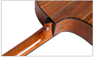 ขายส่งจีนราคาโรงงาน Cutaway วอลนัทร่างกายกีตาร์อะคูสติก FN-30 - Product Image 5