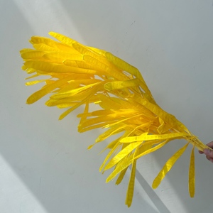 2026 New Products Preserved Dried Lentil Pod <strong>Flower</strong> Bulk Prices High Quality Wedding Decor Mother's Day DIY Gift Graduation - Product Image 6