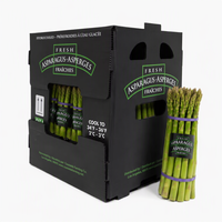 Boîte de rangement pliable et étanche en polypropylène ondulé Correx, boîte de transport pour fruits frais et asperges, conteneur de livraison