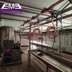 Dây chuyền giết mổ gà hoàn chỉnh, bao gồm hệ thống dẫn máu, nhổ lông, giết mổ, băng tải, thiết bị lò mổ gia cầm cho máy móc nhà máy giết mổ - Product Image 6