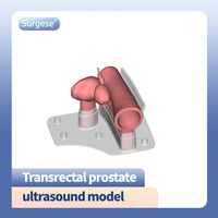 Modèle d'échographie de la prostate transrectale Les ultrasons focalisés à haute énergie simulent le diagnostic et le traitement des maladies de la prostate