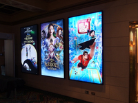 Cadre d'affiche LED sur mesure, panneaux lumineux LED, boîte à lumière LED rétroéclairée, boîte à lumière pour affiche de film 27x40, 16x24