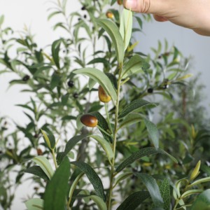 <span class=keywords><strong>2025</strong></span> nóng bán Cây Ô Liu trong nhà ngoài trời UV bảo vệ nhân tạo Cây Ô Liu với lọ hoa có thể tháo rời thân cây cho cảnh quan - Product Image 5