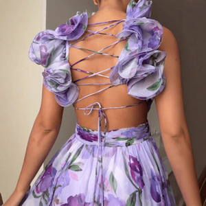 Robe de soirée longue sans manches en mousseline à imprimé floral, col en V, taille empire, avec superposition transparente pour femme - Product Image 4
