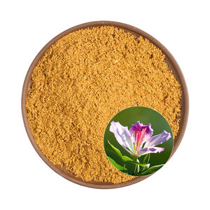 ผงสารสกัดจากอานน่า10:1 20:1ให้พลังงานผงสกัดพุทธะธรรมชาติบริสุทธิ์100:1 - Product Image 2