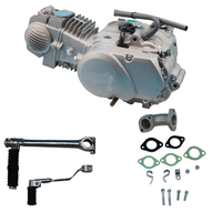 Ensemble Moteur YX140cc à Démarrage au Pied et Embrayage Manuel pour Pit Bike, Cylindre en Alliage Jeté à l'Air Refroidi par Air, Quatre Vitesses pour Moto (Échantillon)