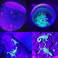 Lampe torche LED UV 365nm en alliage, zoomable, source de lumière violette ultraviolette pour inspection d'agents et chasse aux scorpions