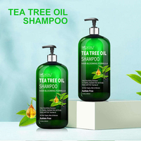 Nouveau Shampooing au Théier Très Vendu Nettoyage en Profondeur Soin Rafraîchissant du Cuir Chevelu Contrôle des Odeurs Laisse les Cheveux Légers et Propres