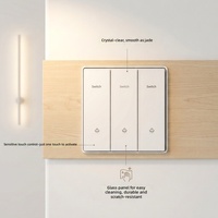 Interruptor de Pared Eléctrico Multifunción para el Hogar, Enchufe con Placa Frontal de Vidrio Templado de Lujo, Interruptores y Enchufes de Pared