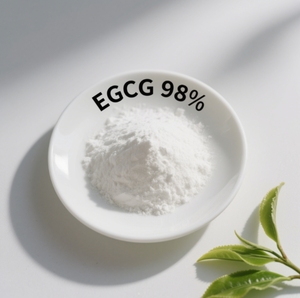 Estratto di Tè Verde Zhencui <span class=keywords><strong>EGCG</strong></span> 98%, Polifenoli Naturali del Tè, Polvere di Estratto di Tè Verde, Polvere di <span class=keywords><strong>EGCG</strong></span> - Product Image 1
