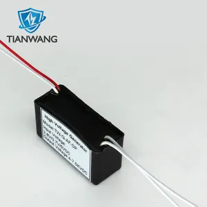 Manufacturer Boost Step Up Power Module High Voltage Generator For High School Science Experiment Electronic Instrument